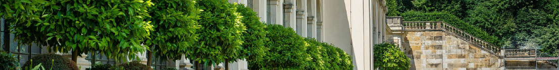greenmark-consultancy-service
